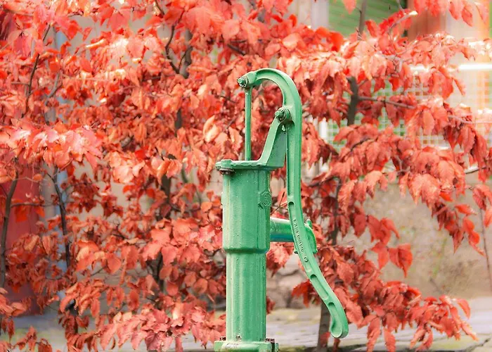 Weber-rolinger Apartment